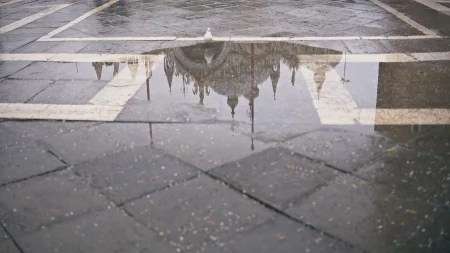 postrehy momentky 2026-011