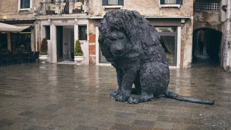 postrehy momentky 2026-012