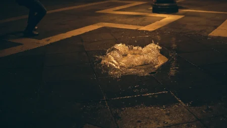 postrehy momentky 2026-052