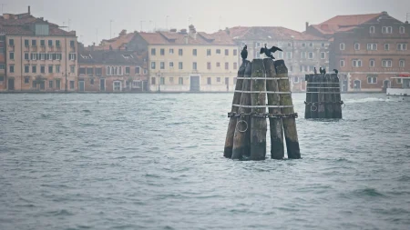 postrehy momentky 2026-053