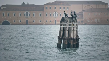 postrehy momentky 2026-054