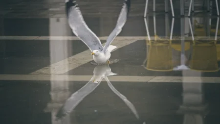 postrehy momentky 2026-055