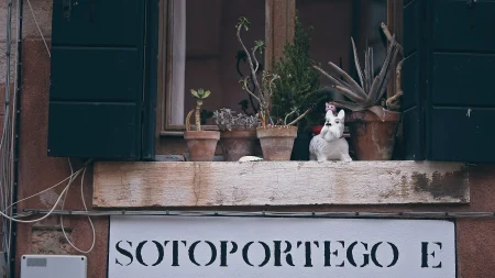 postrehy momentky 2026-058